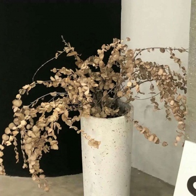 吉林福瑞交流群